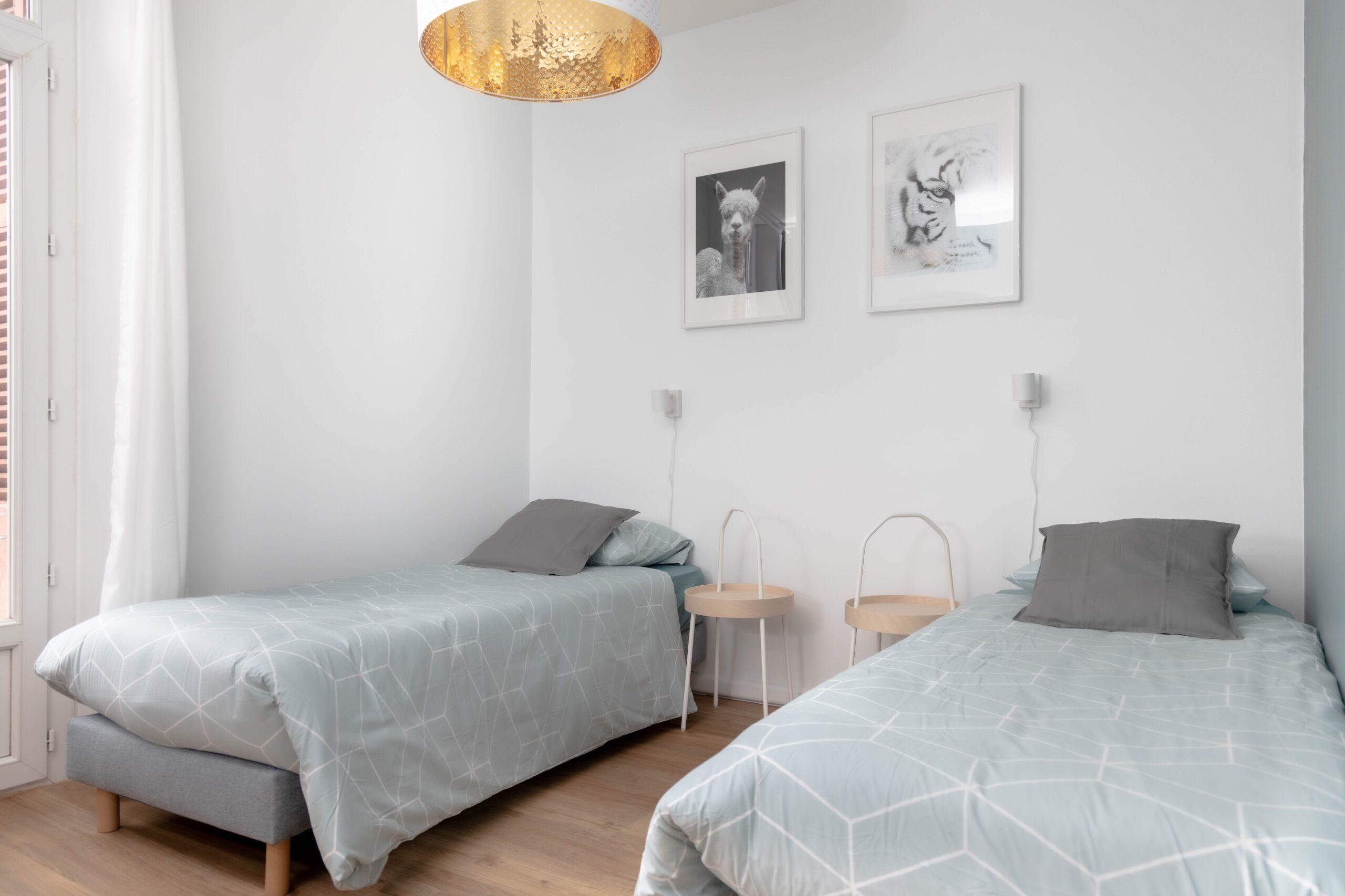 Lourdes_Rue_de_Pau_-19