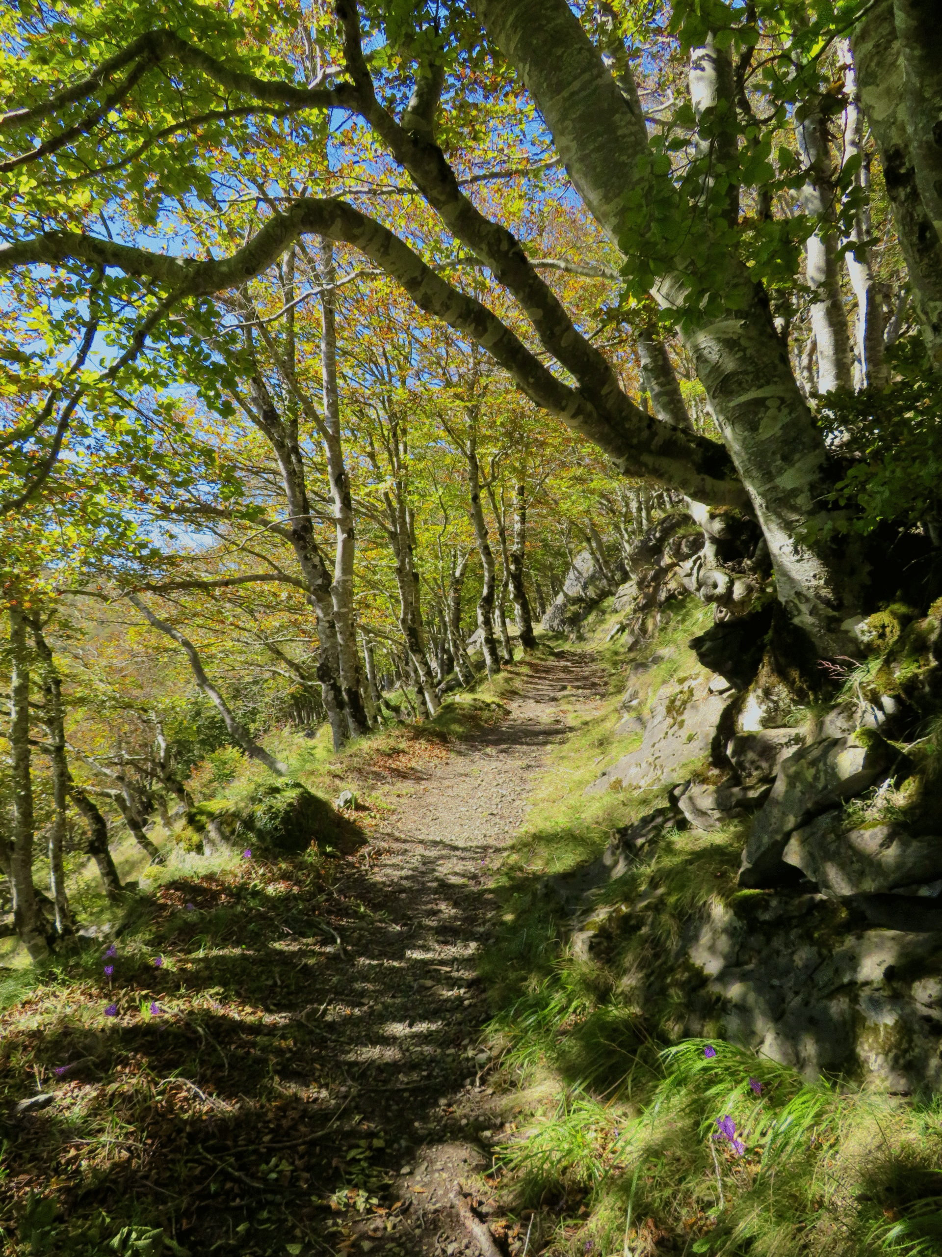 Sentier de randonnée versant Sud depuis Ouzous