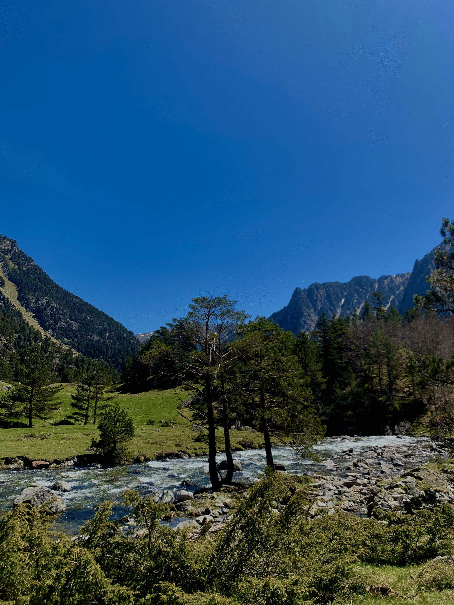 Paysage  Pyrénées