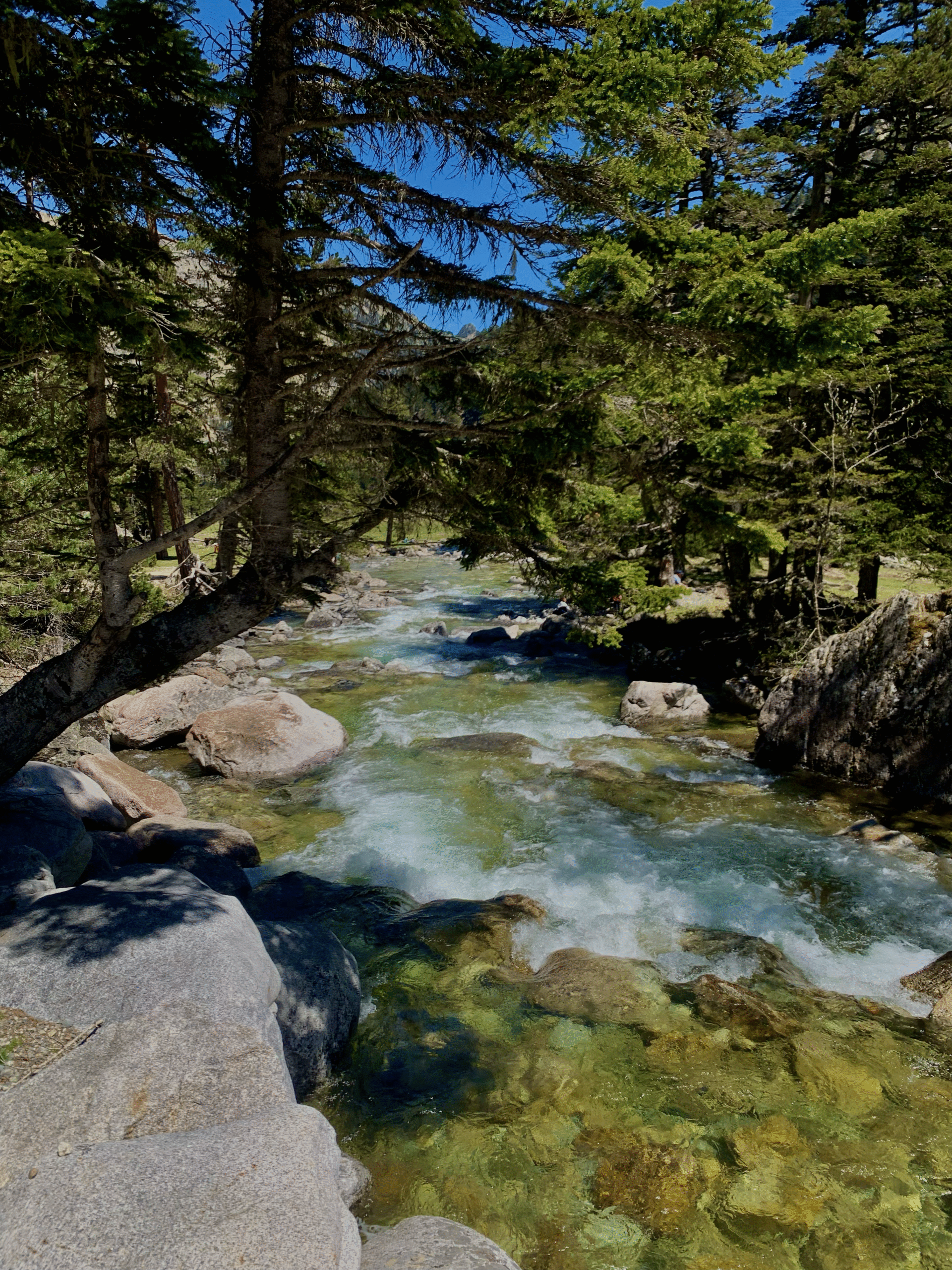 Sentier de randonnée 