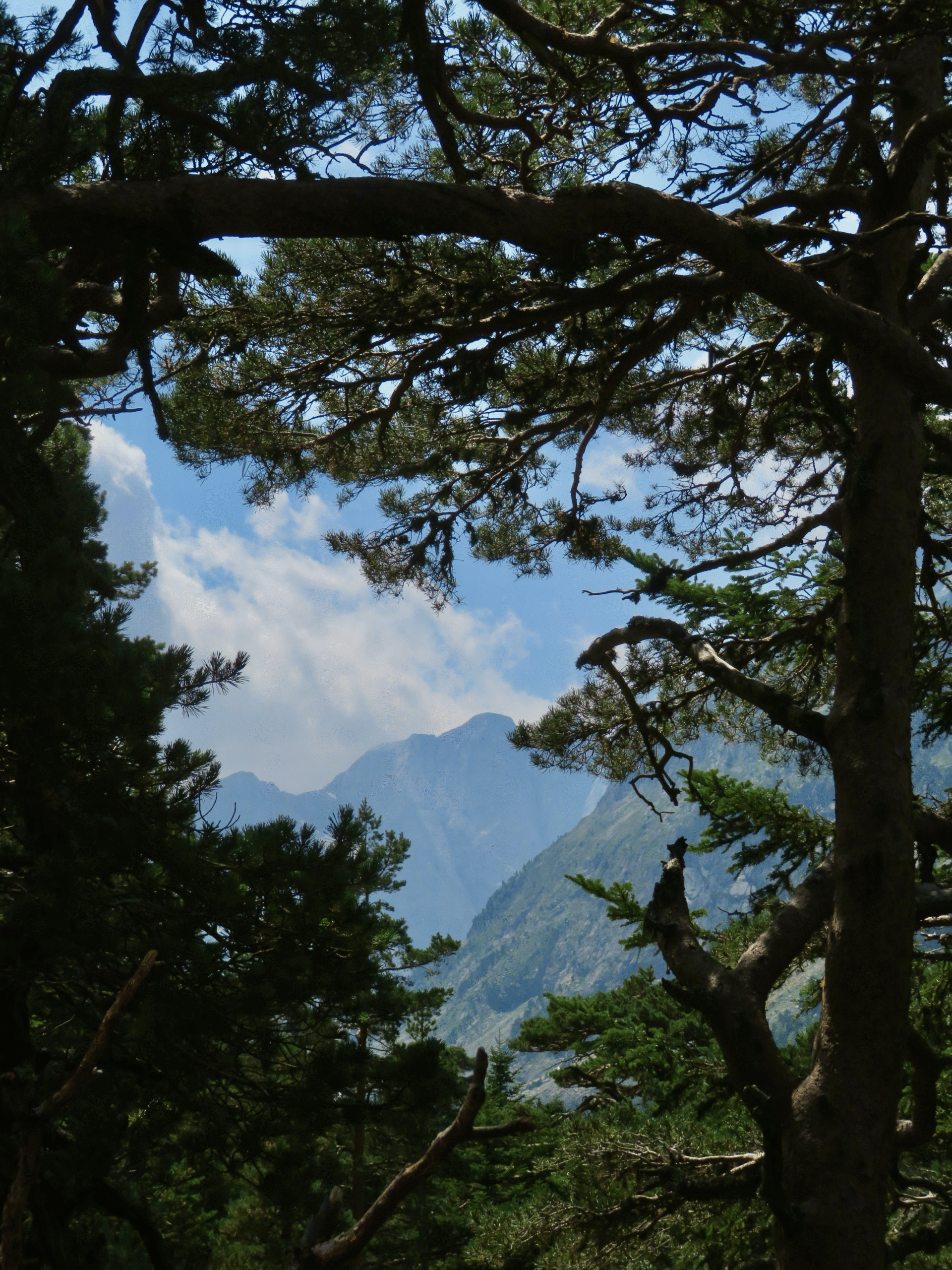 Nature et paysages Lac de Gaube