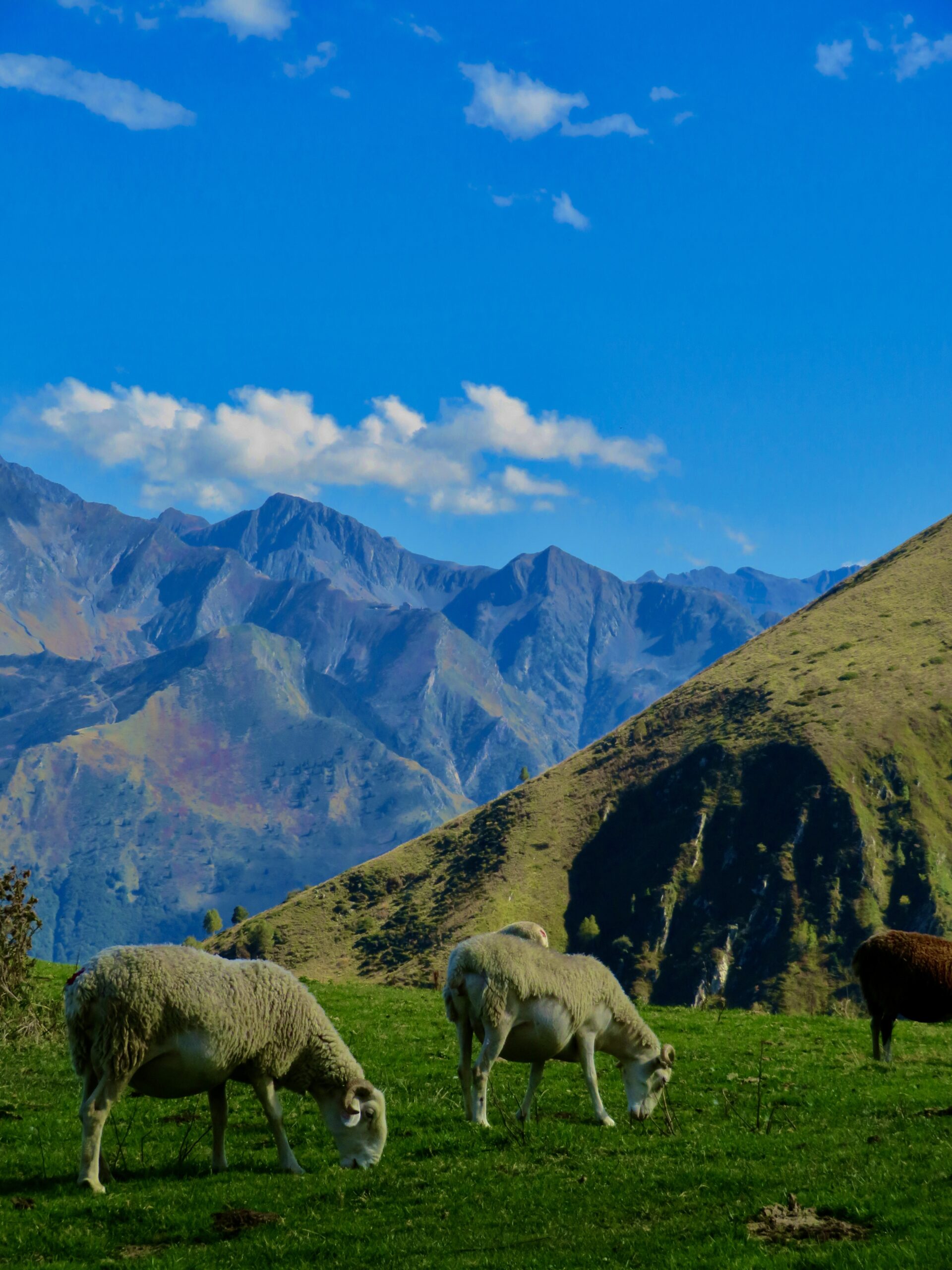 Panorama à 360° au sommet sur les vallées pyrénéennes